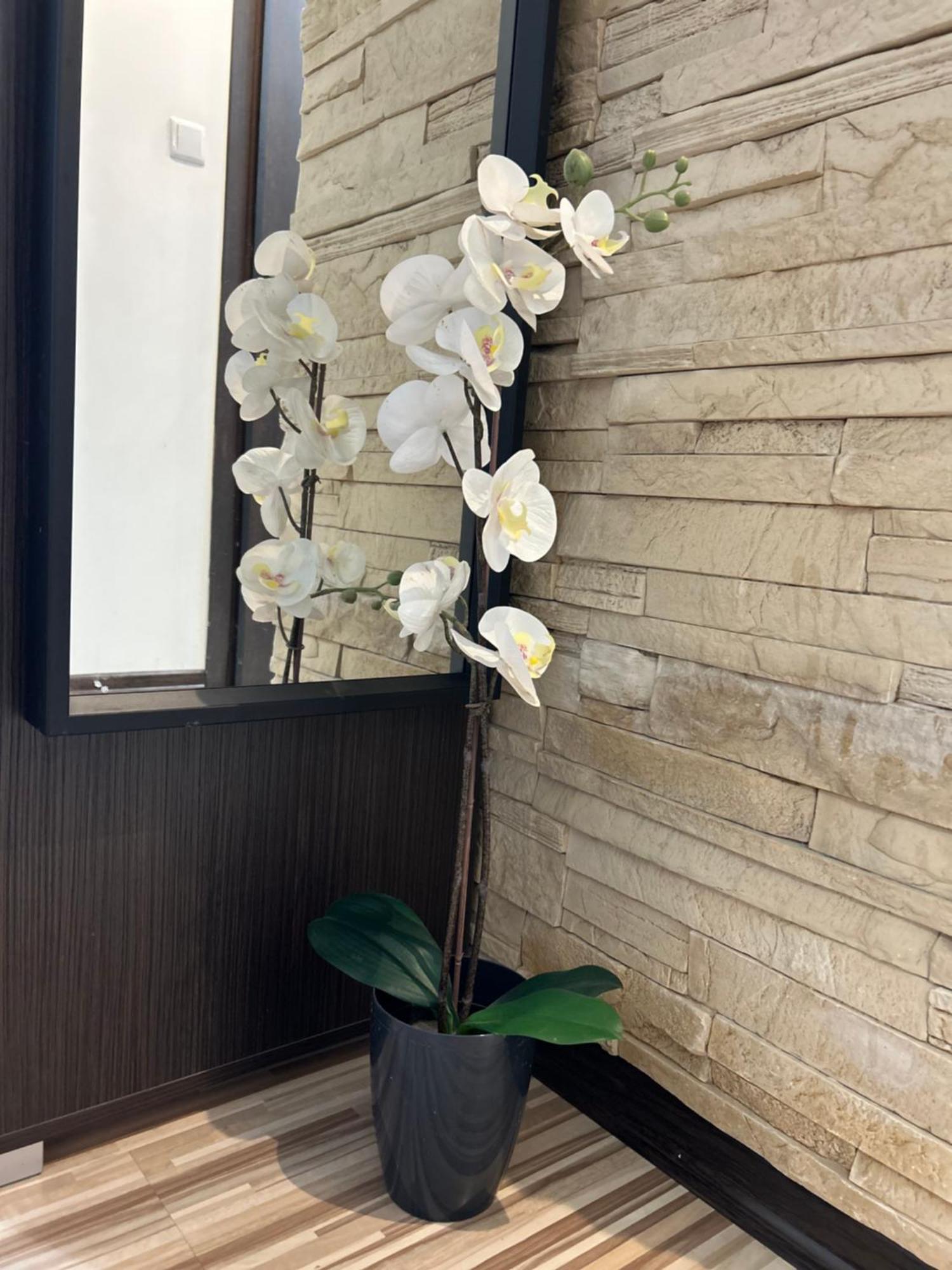 Apartmán Chlodna Varšava Exteriér fotografie